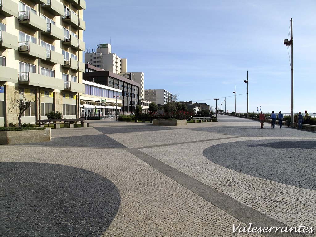 IMG_4435.jpg