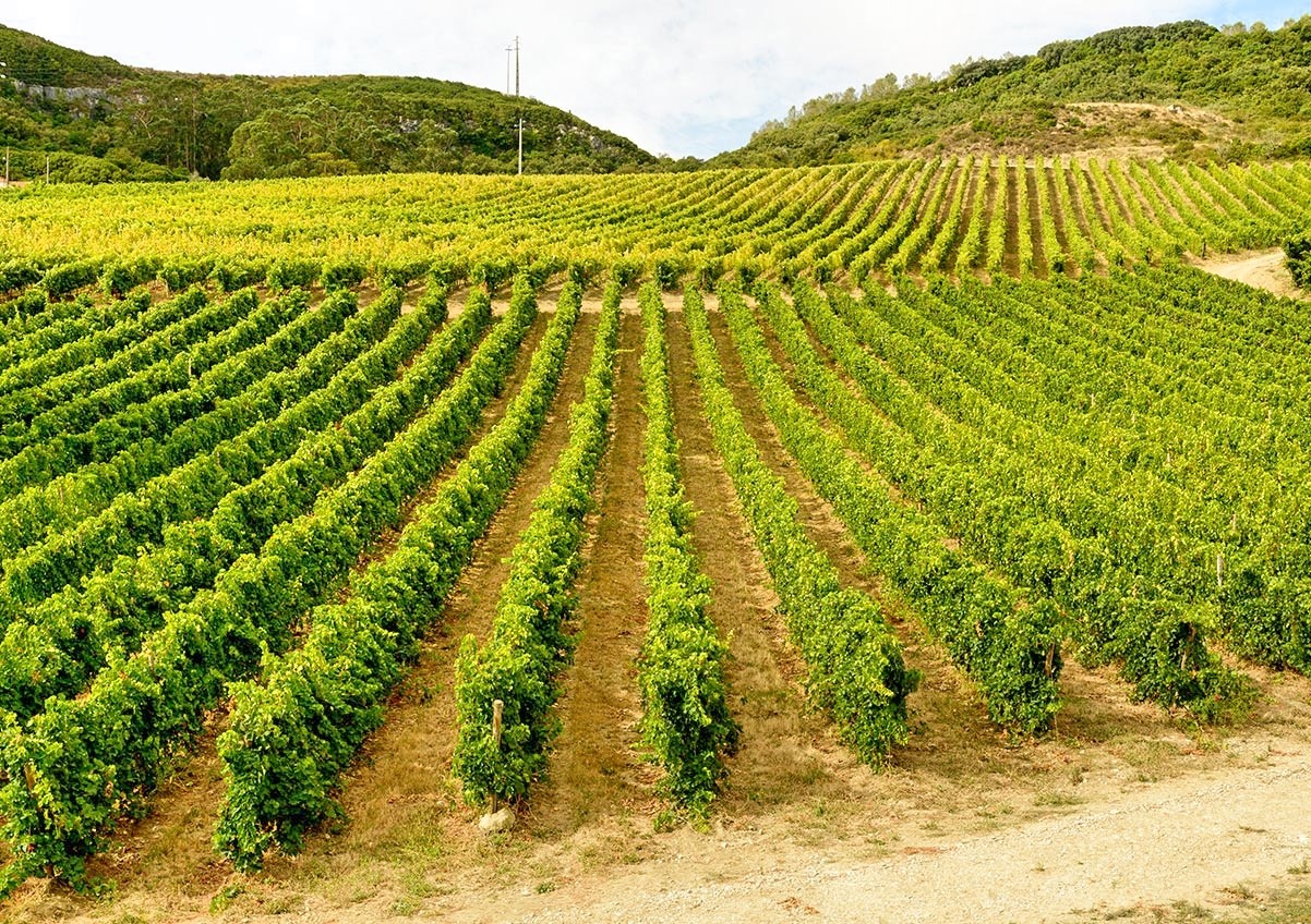 Quinta de S. Sebastião