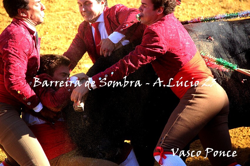 Vasco Ponce_2622.JPG