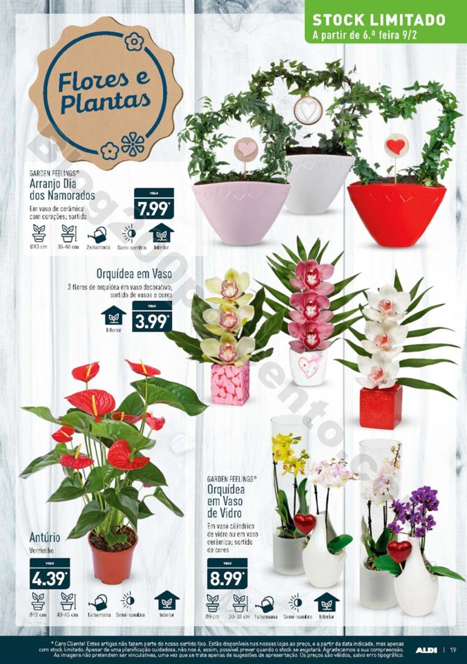 Antevisão Folheto ALDI Promoções a partir de 7 