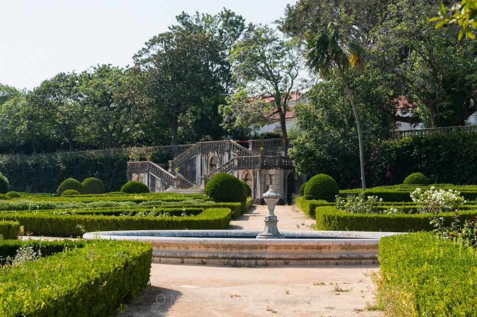 DSC00064.jpg DSC00064.jpg