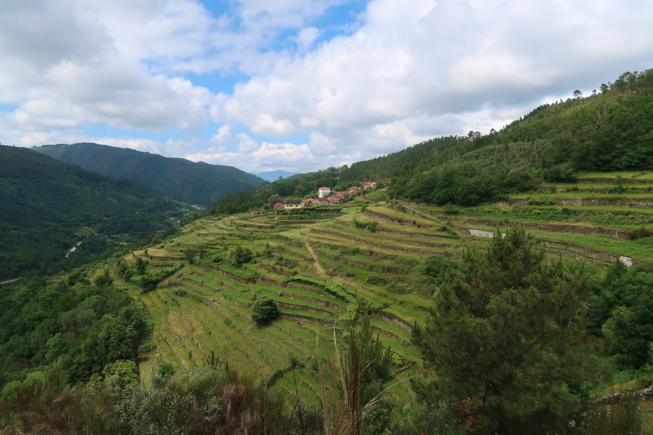 2017-06-03 Sistelo 069.jpg