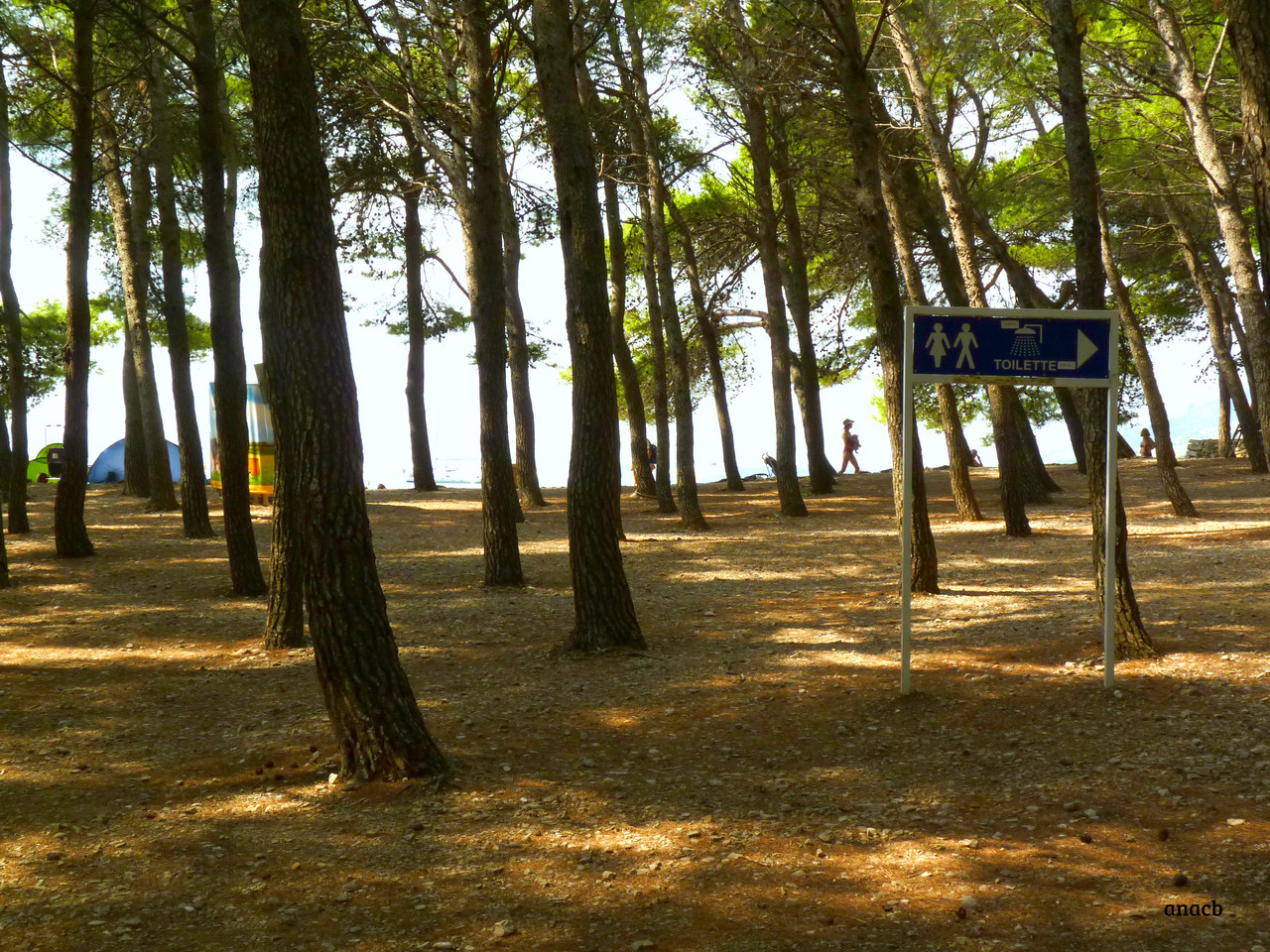 Zlatni Rat, Brač, Croatia (3).jpg