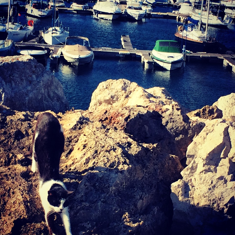 IMG_8024.JPG IMG_8024.JPG