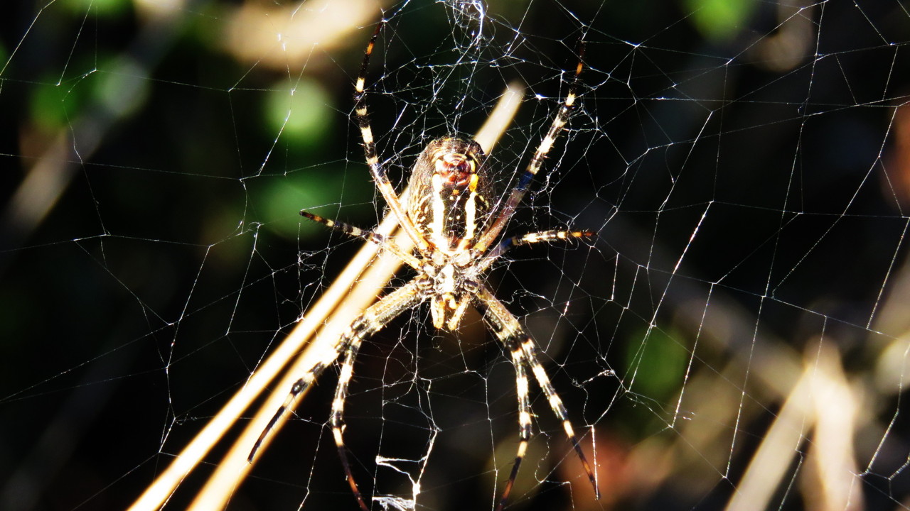 2017-10-29 17-20-50_0218.jpg