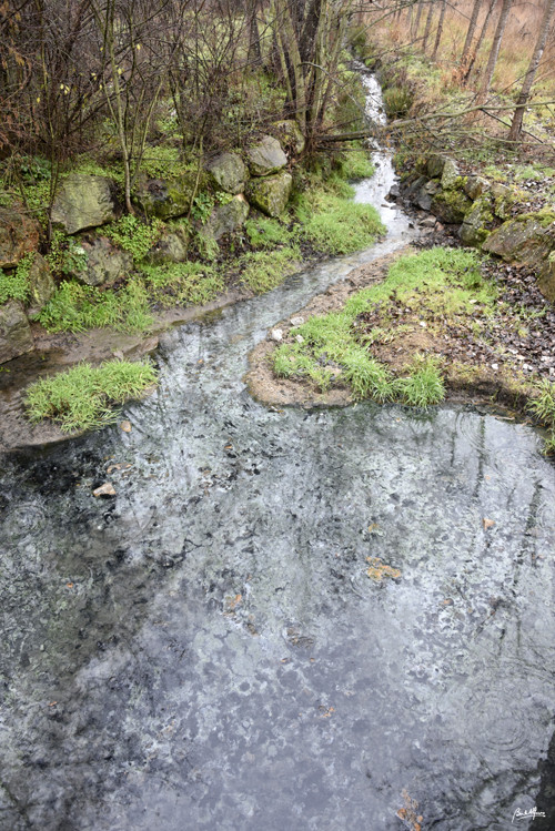 _DSC7255.JPG