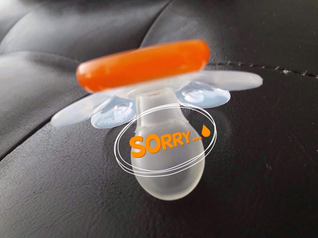 IMG_7846.JPG IMG_7846.JPG