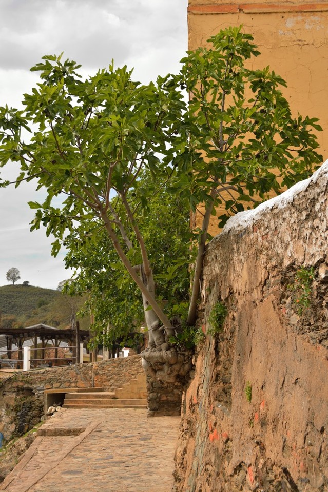 DSC_1403.jpg DSC_1403.jpg