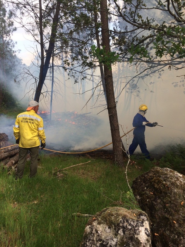 imgpsh_fullsize (14).jpg