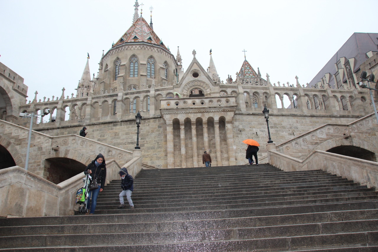 IMG_2273.JPG IMG_2273.JPG