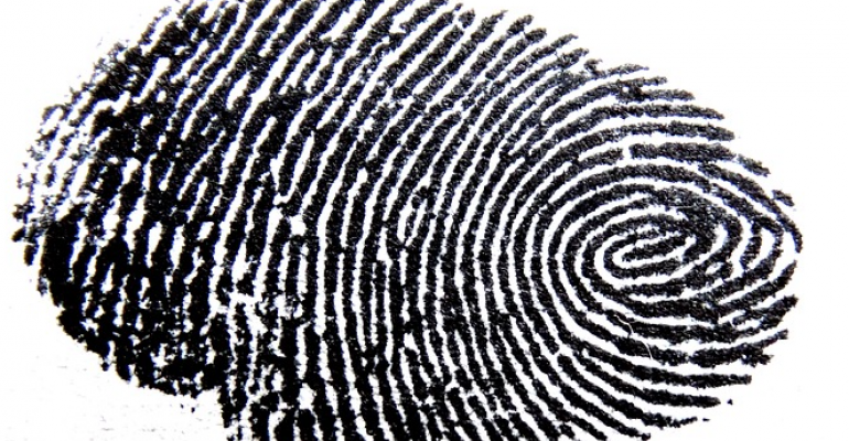 fingerprint_0.png