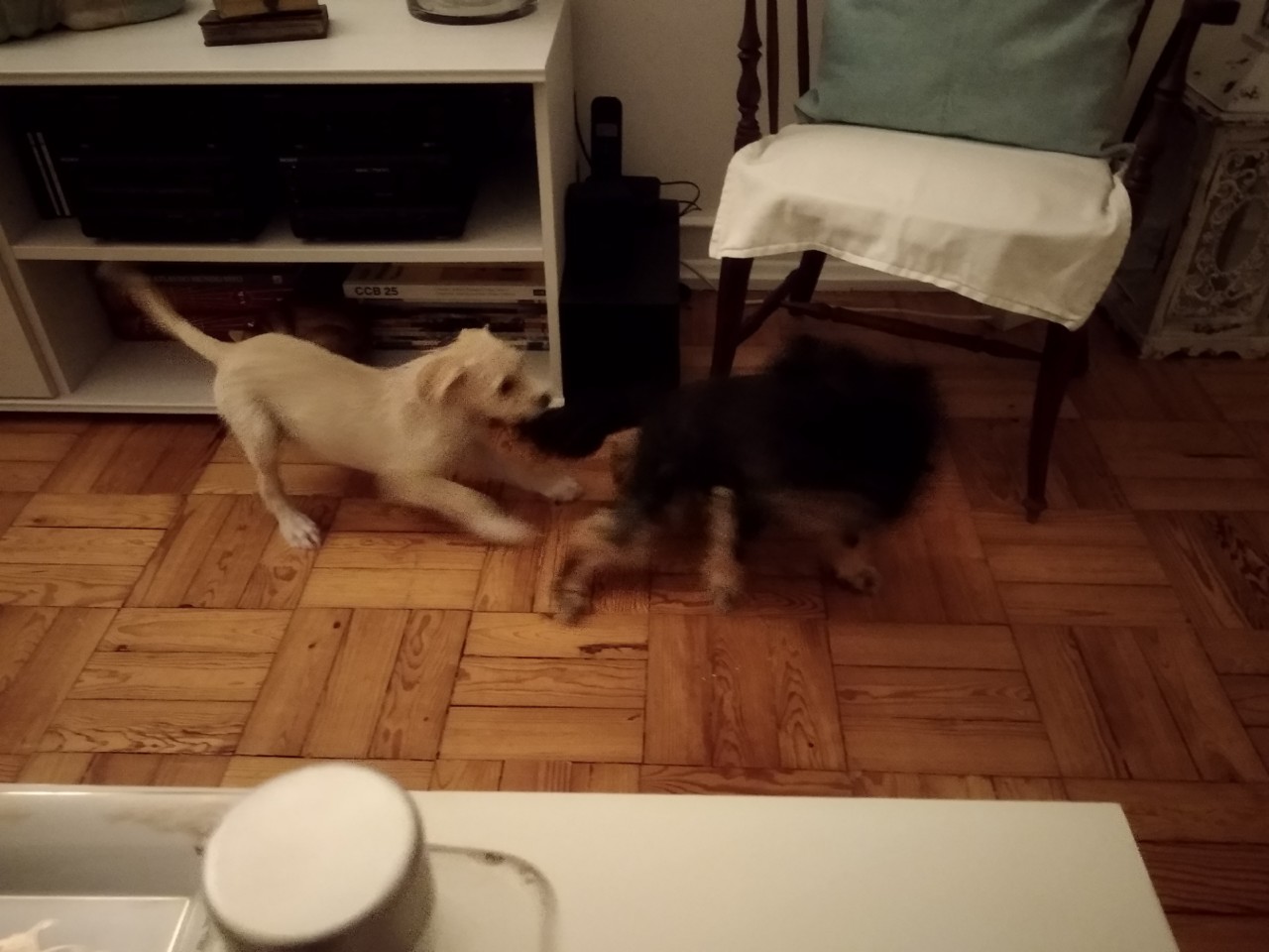 IMG_20191012_200204.jpg IMG_20191012_200204.jpg