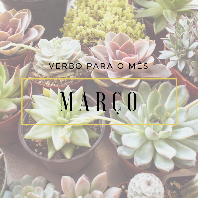 PLANOS-MARÇO.png PLANOS-MARÇO.png