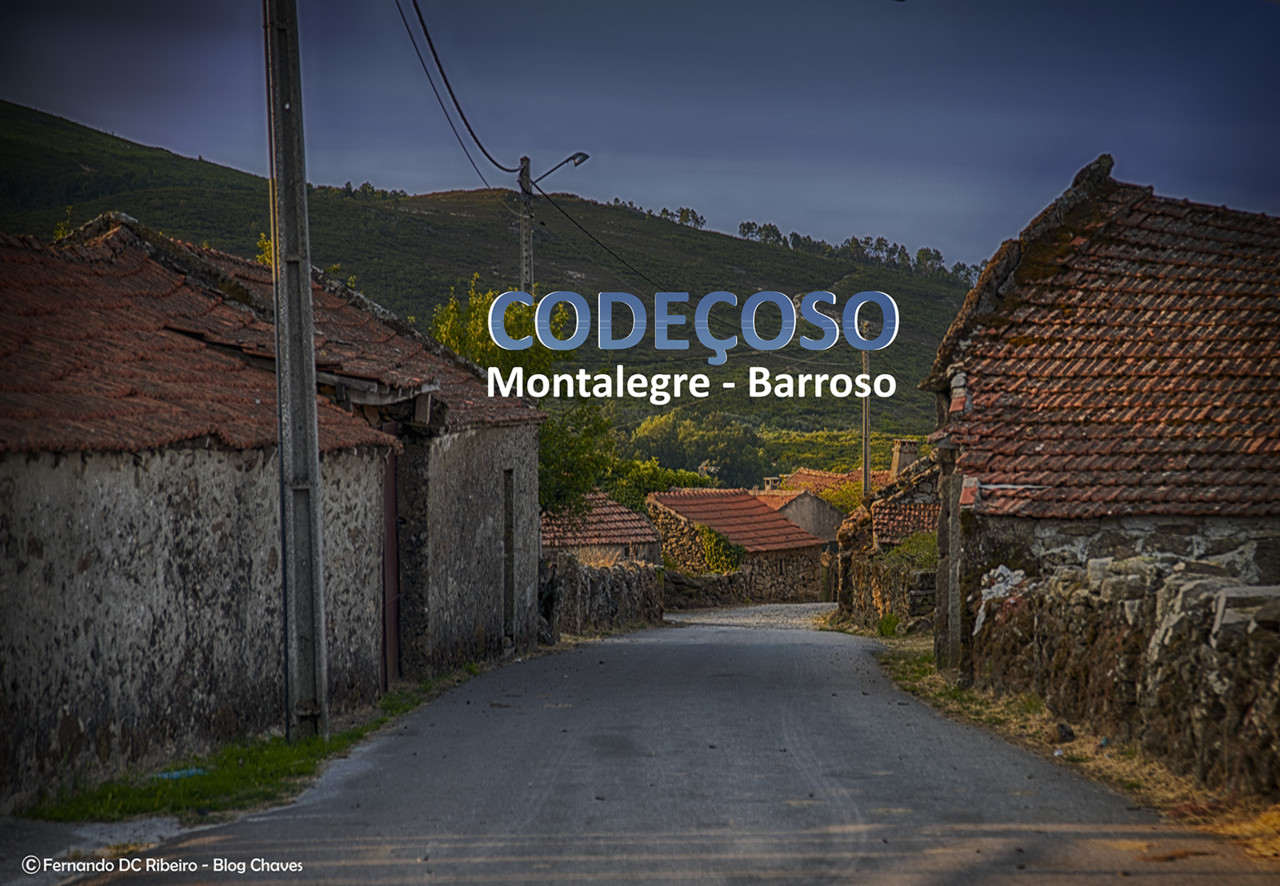 1600-codessoso (1)-video.jpg