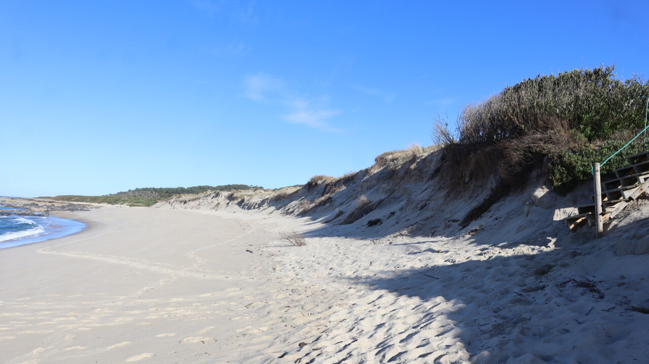 PINHEIRO NATAL AFIFE 25_7299.JPG