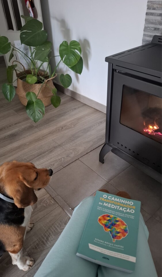 ca039578-67dc-4996-a558-ca3eafbafa3b.tmp