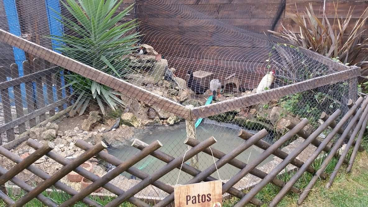 received_10202171512446434.jpeg received_10202171512446434.jpeg