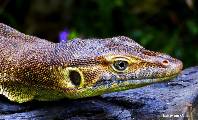 YghvFIpq3gB9iOvda0R2