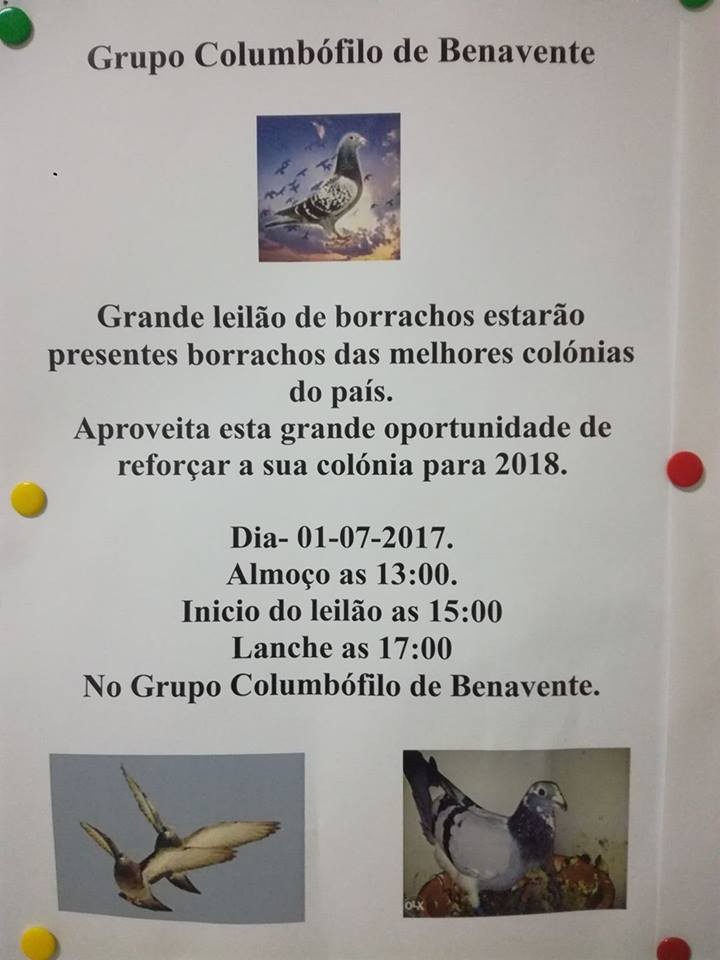 Leilão Benavente.jpg