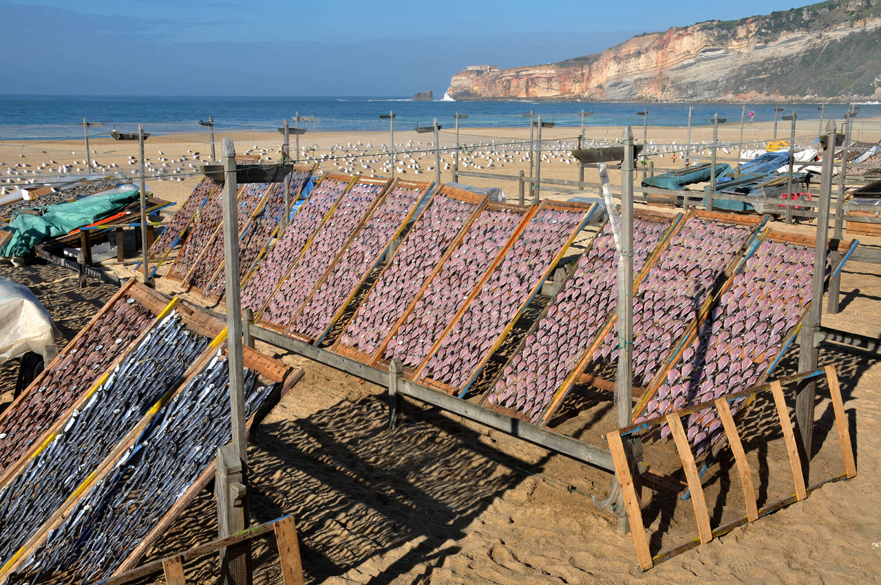 dsc_8237.jpg dsc_8237.jpg