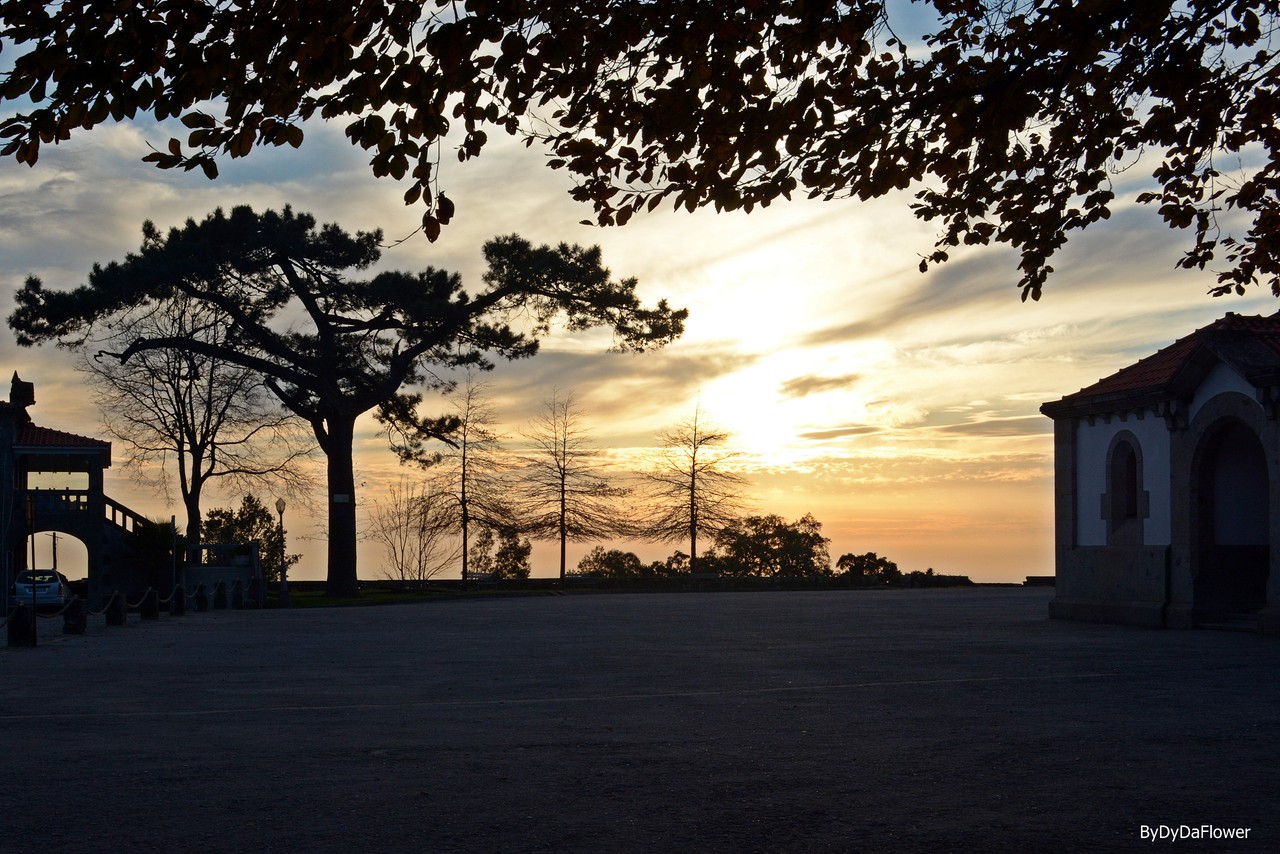 Assunção Dezembro.jpg
