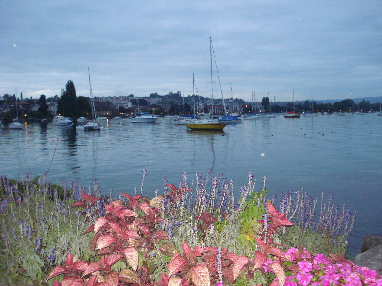 DSC00033.JPG DSC00033.JPG