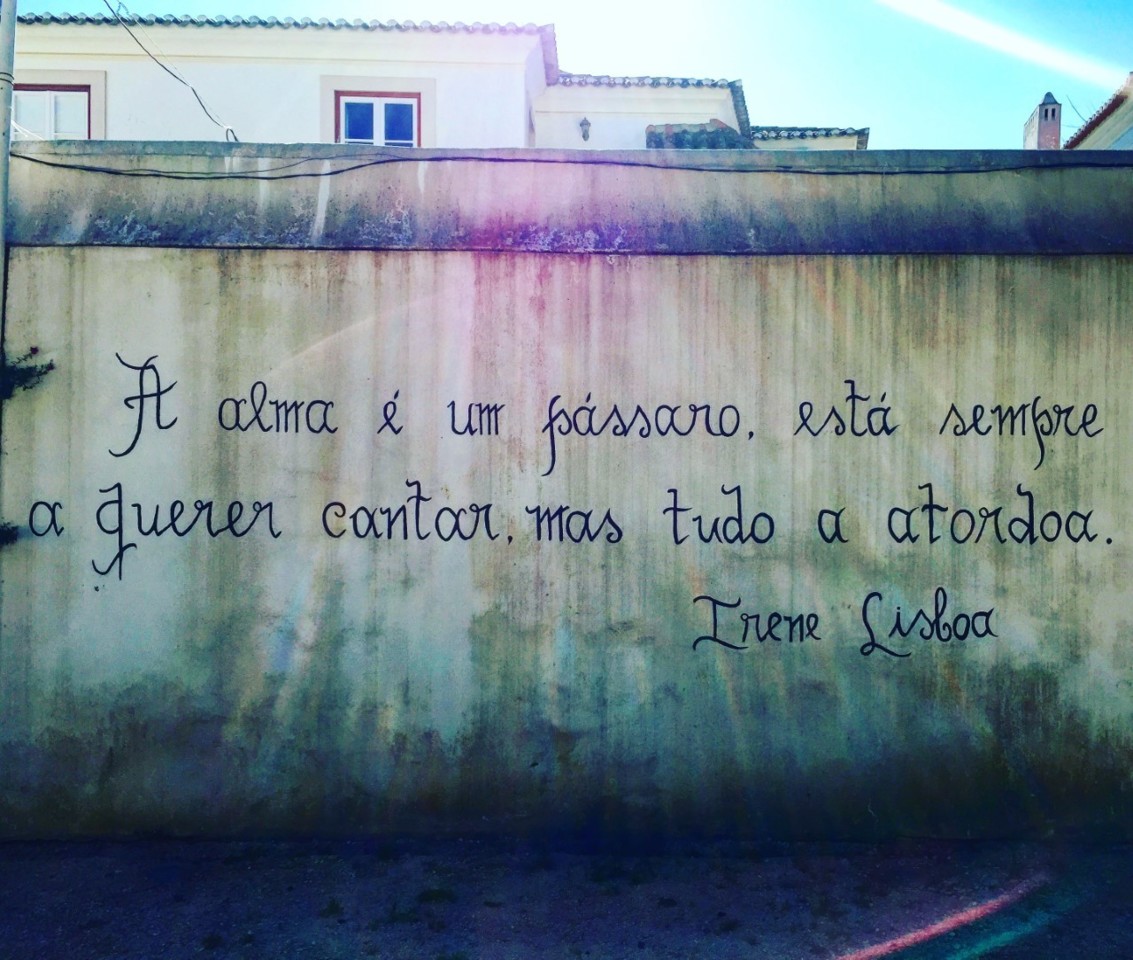 alma de pássaro.jpg