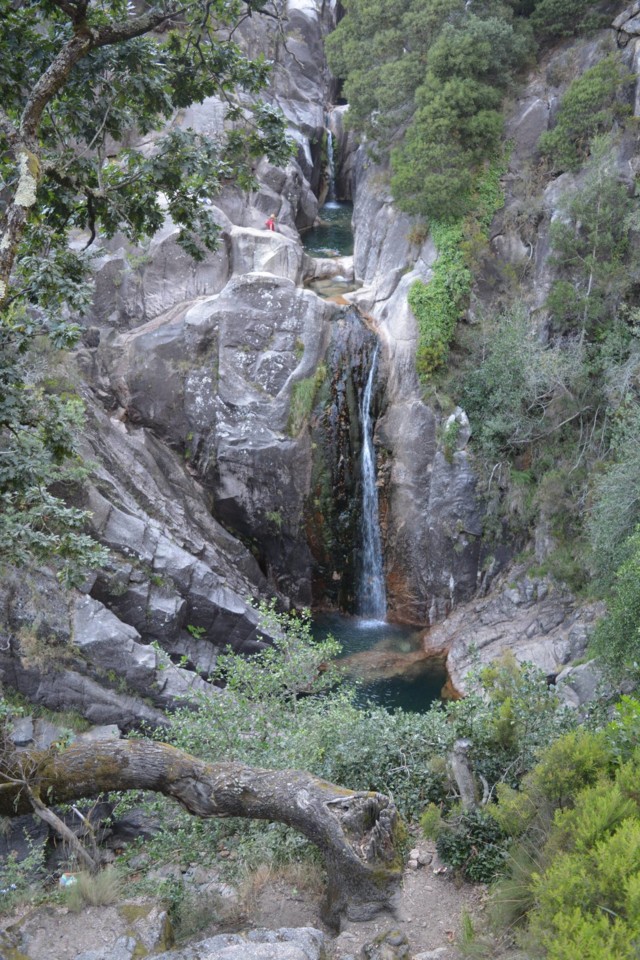 40358988_1411204302347652_7604706305894252544_n.jp