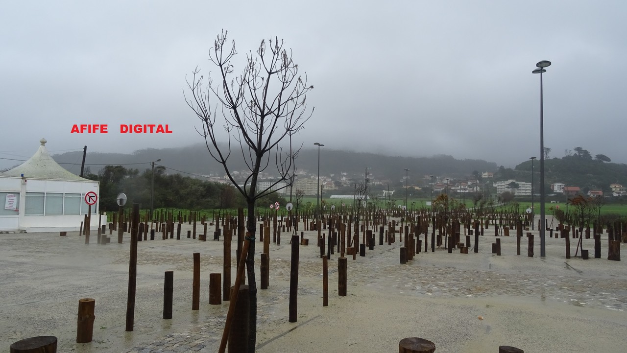 DSC04109.JPG DSC04109.JPG