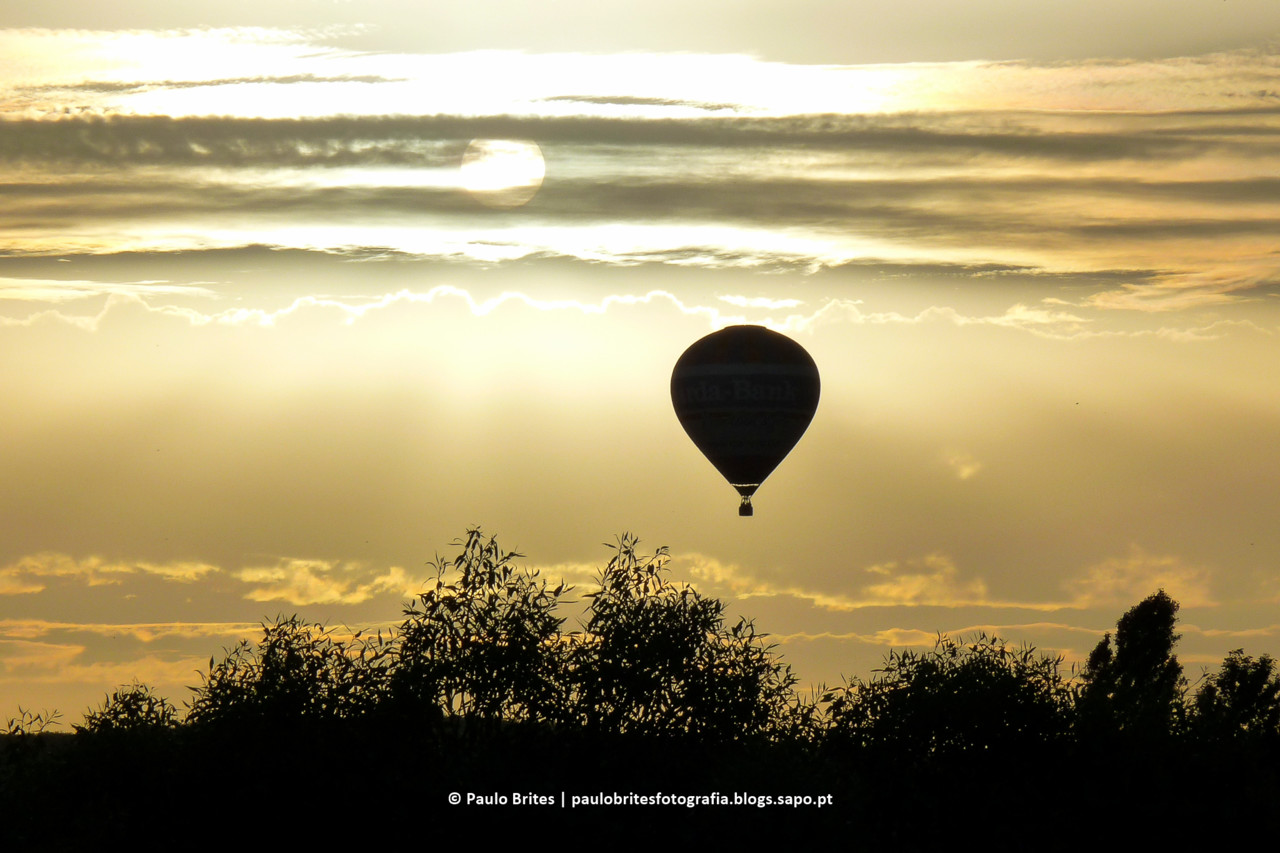 DSC_10468-1-3.jpg DSC_10468-1-3.jpg