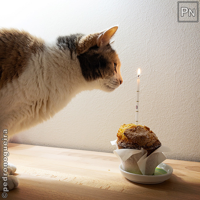 Jun_2021_022b 650px.jpg