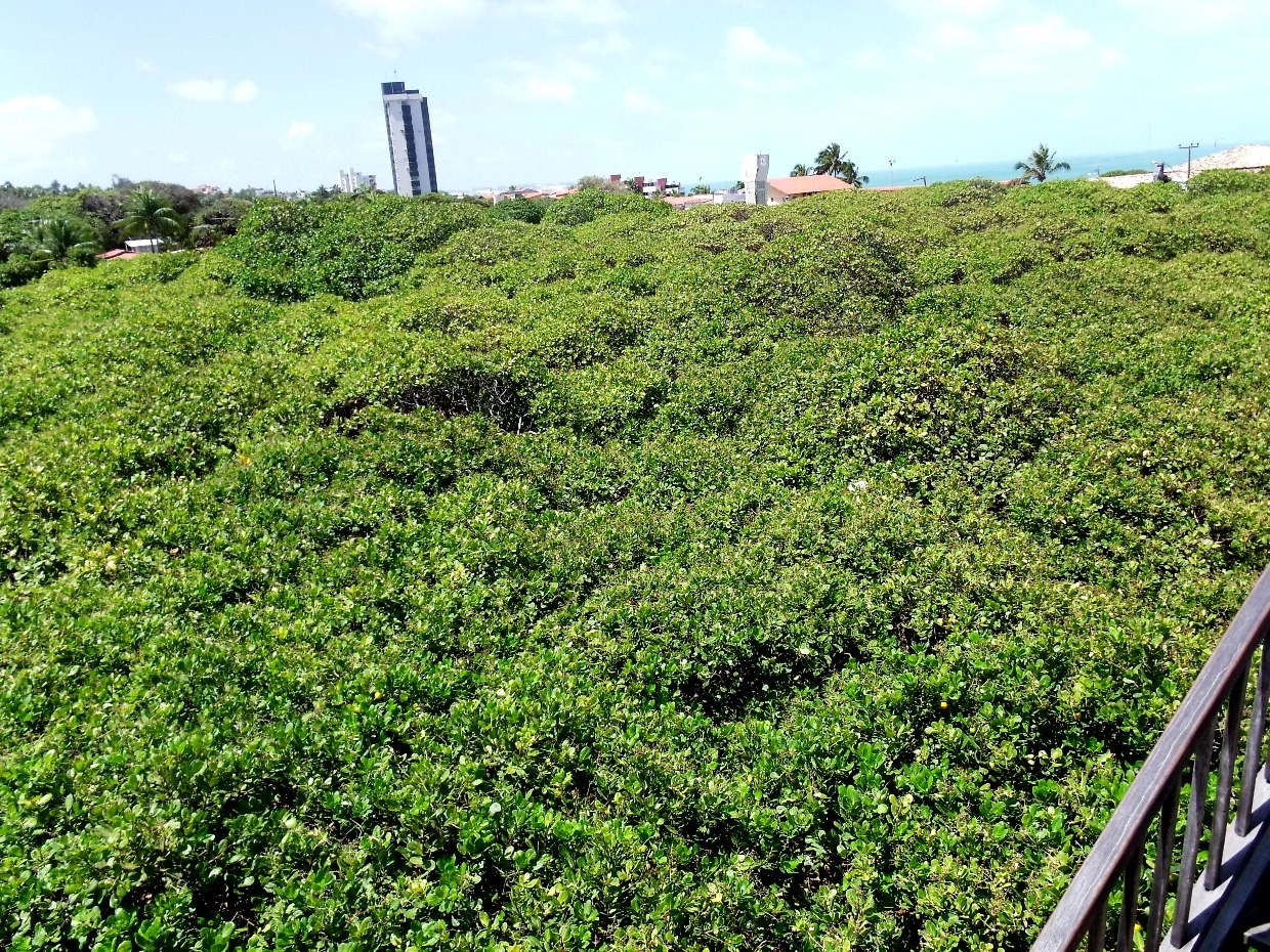 Brasil Nordeste II.JPG