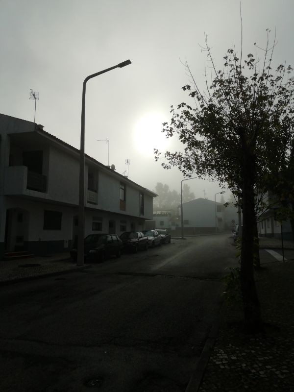 2019-09-25_09_11_12_414.jpg 2019-09-25_09_11_12_414.jpg