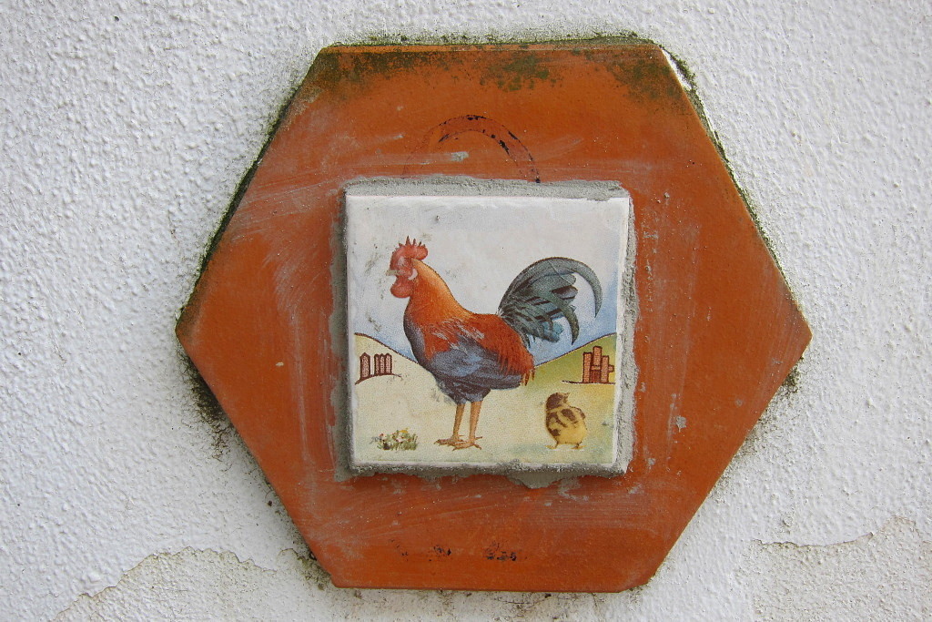 IMG_0949.jpg IMG_0949.jpg