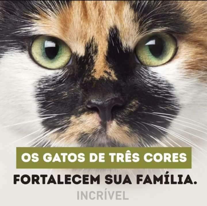 FB_IMG_1494613108614.jpg FB_IMG_1494613108614.jpg