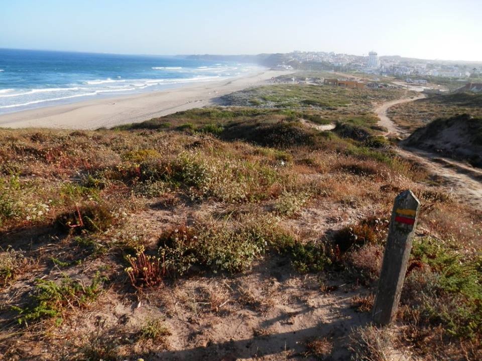 13775548_1227197420625180_3021257870069955008_n.jp 13775548_1227197420625180_3021257870069955008_n.jp