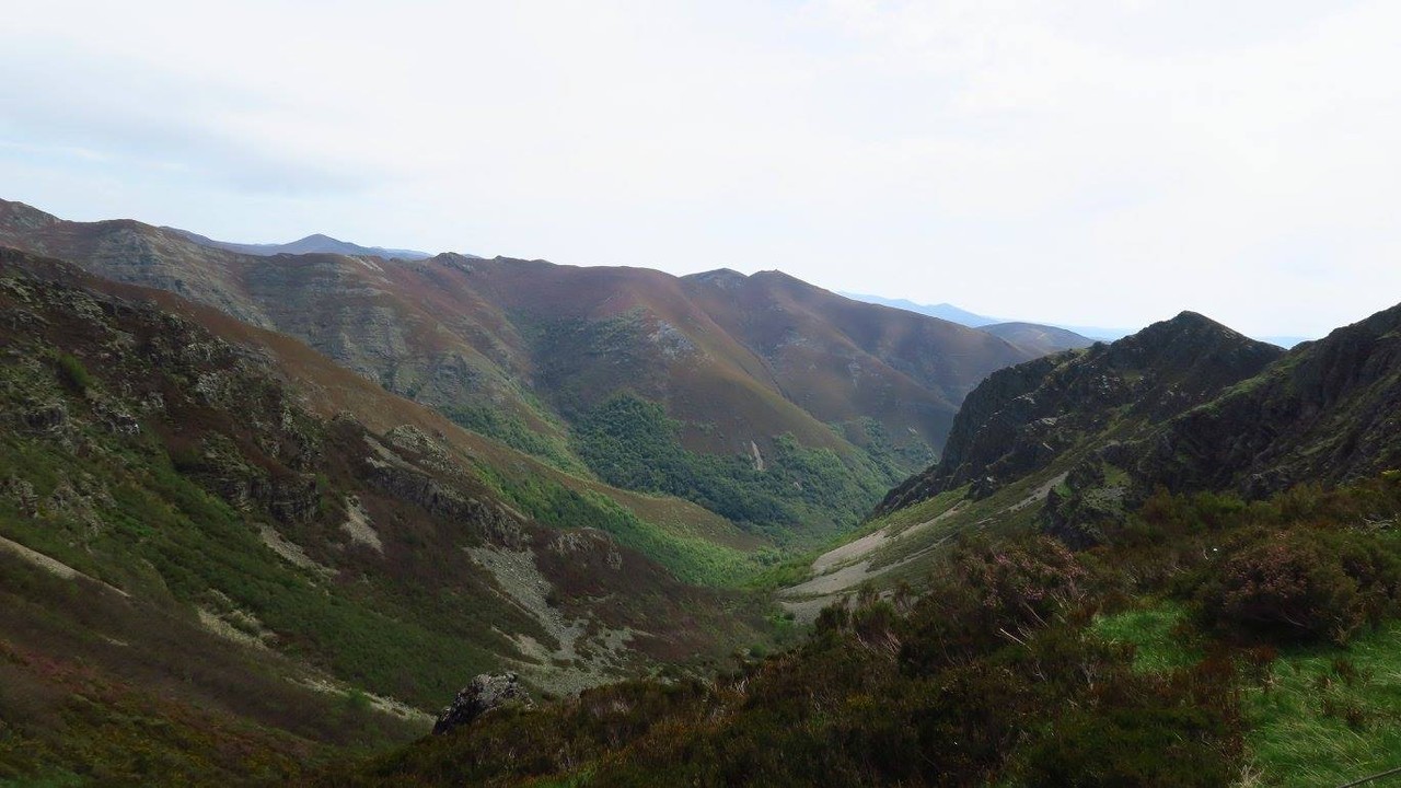 18700409_1567435656600864_3889954202620469134_o.jp