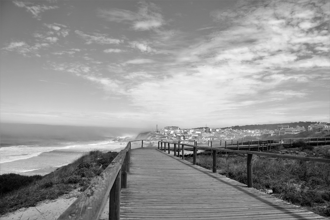 IMG_0299.jpg IMG_0299.jpg