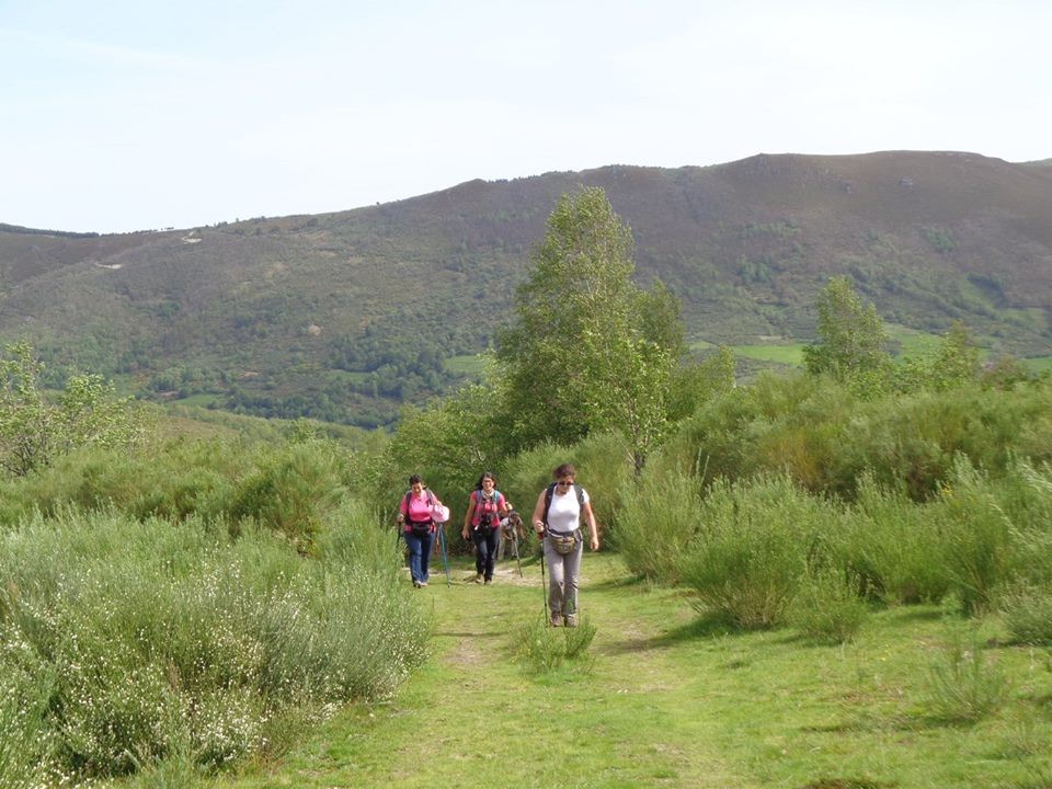 18698317_10211398967422584_7725442657540649484_n.j