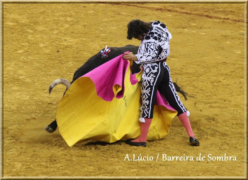 IMG_6592.JPG IMG_6592.JPG