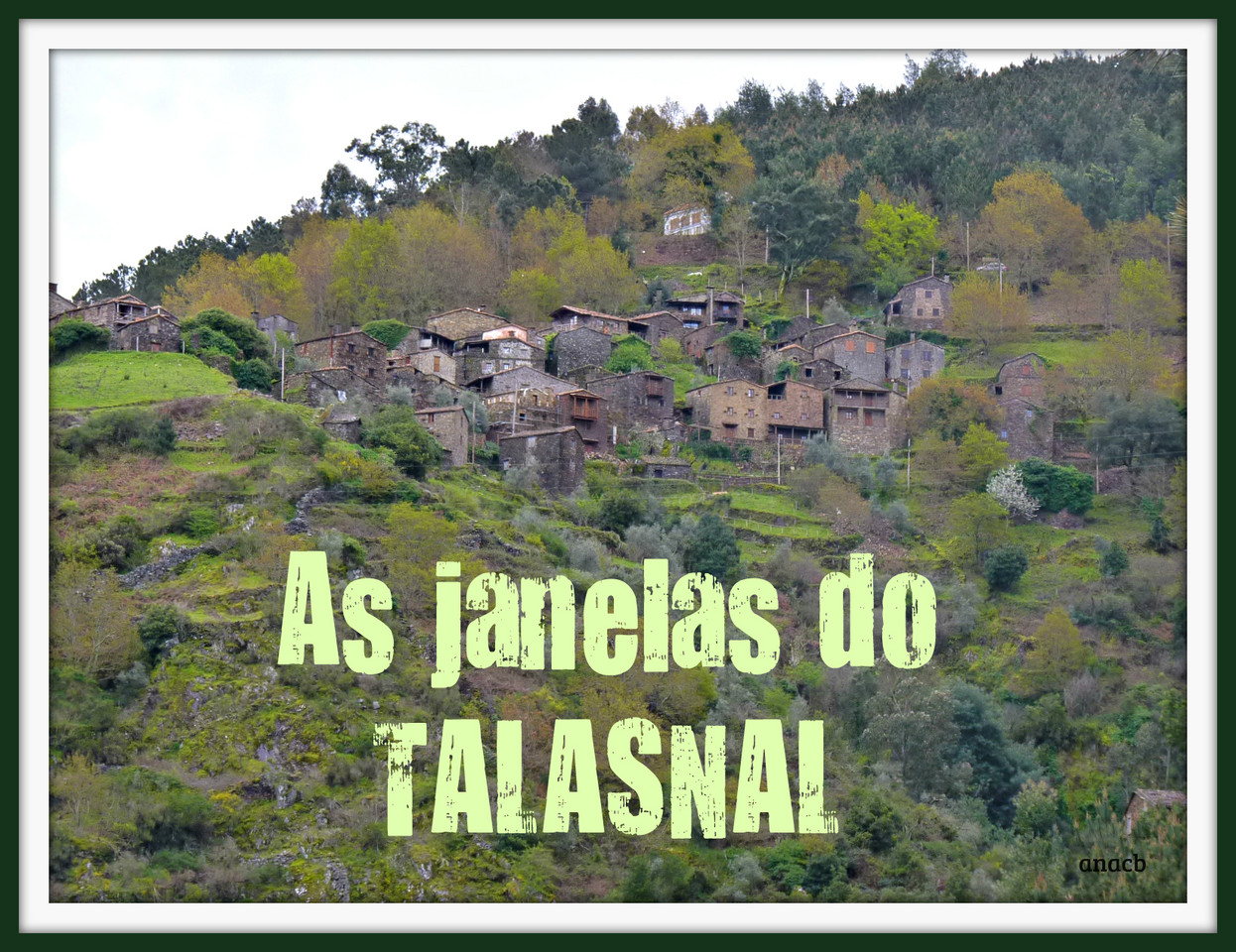 As janelas do Talasnal.jpg