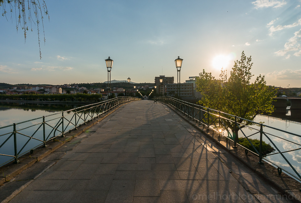 DSC02182.jpg DSC02182.jpg