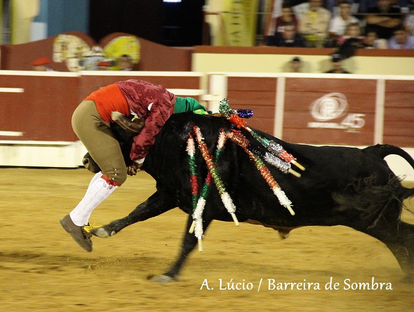 IMG_6863.JPG IMG_6863.JPG