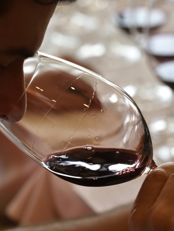 Grandes Escolhas - Vinhos & Sabores’