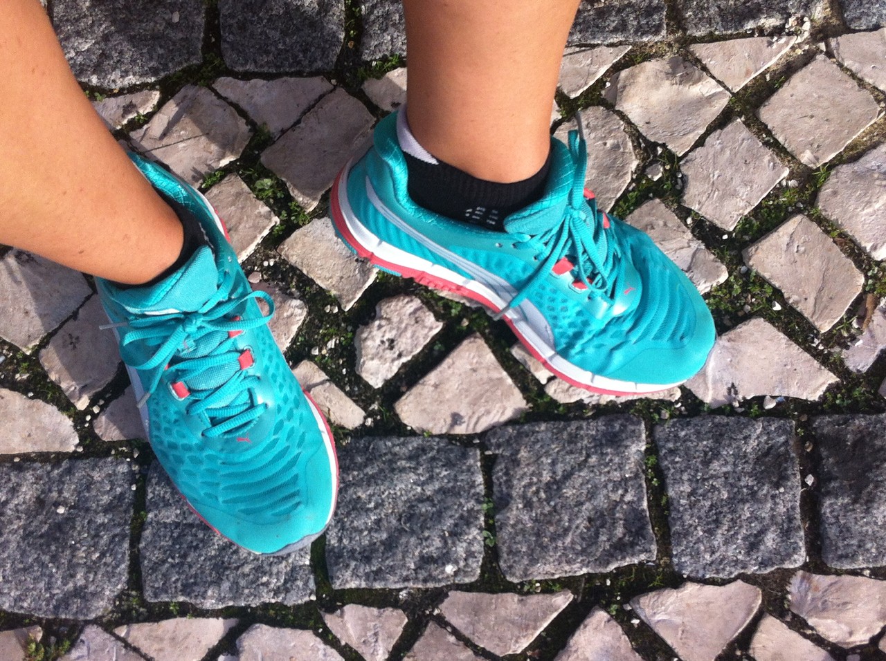 fotografia 3 (1).JPG