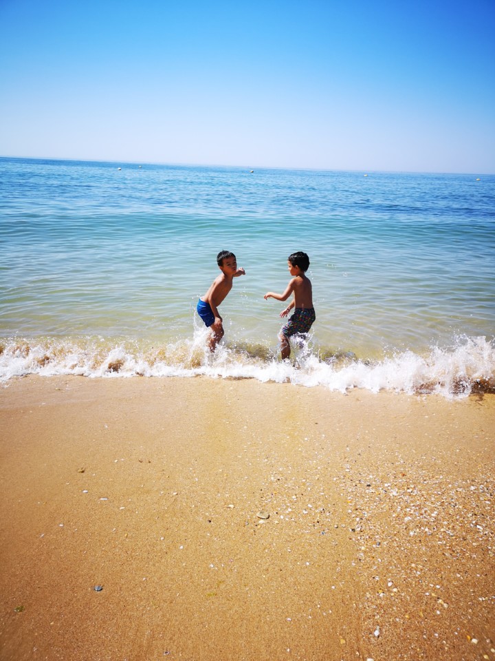 IMG_20200630_104411.jpg IMG_20200630_104411.jpg