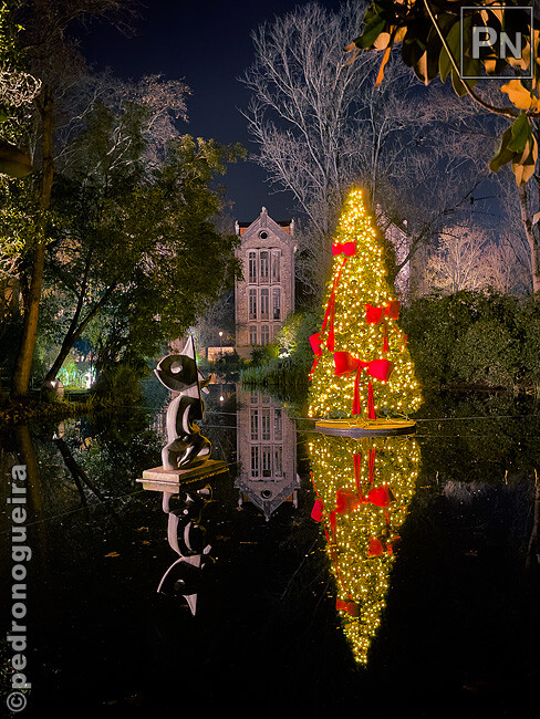 Nov_2024_007 650px.jpg