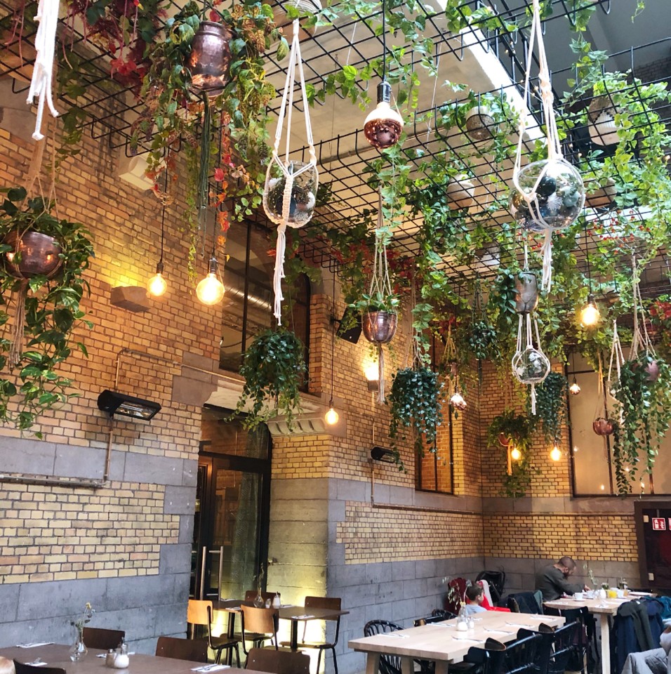 ACS_1020.JPG ACS_1020.JPG