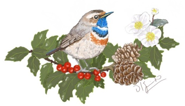 © Olga Cardoso Pinto