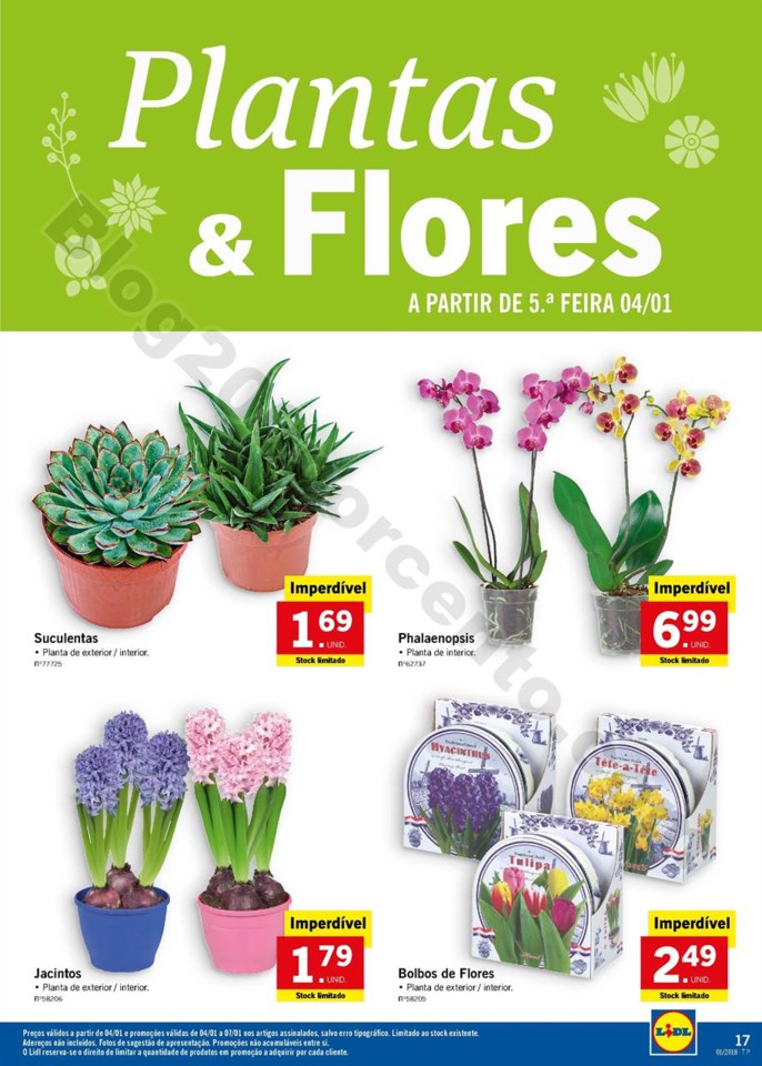 2_janeiro_lidl_016.jpg